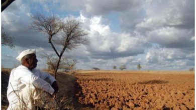 महाराष्ट्रावर कोरड्या दुष्काळाचे सावट! २० जिल्ह्यांतील ८६ तालुक्यांत पावसाचा दीर्घ खंड