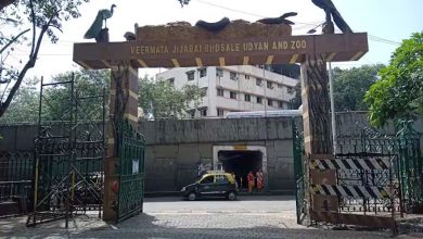 राणीबागेची सफर महागणार? तिकीट दर दुप्पट करण्याचा प्रस्ताव