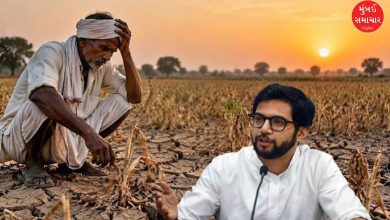 दुष्काळग्रस्त भागाची पाहणी करताना आणि शेतकऱ्यांच्या मदतीसाठी सरकारकडे मागणी करताना आदित्य ठाकरे.