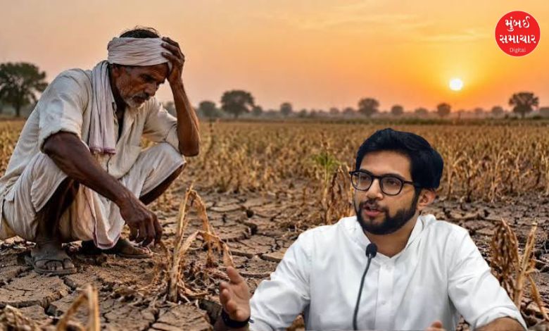 दुष्काळग्रस्त भागाची पाहणी करताना आणि शेतकऱ्यांच्या मदतीसाठी सरकारकडे मागणी करताना आदित्य ठाकरे.
