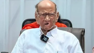 पत्रकार परिषदेत माहिती देताना राष्ट्रवादी काँग्रेस शरदचंद्र पवार पक्षाचे अध्यक्ष शरद पवार आणि आमदार रोहित पवार.