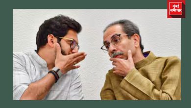 लंडनचे यश खुपते, म्हणून पोटात दुखते.... व्यंगचित्रातून उद्धव ठाकरे यांना टार्गेट