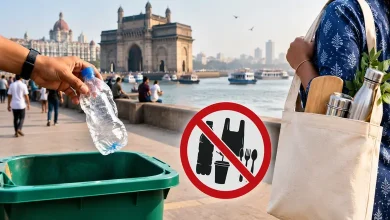मराठी: मुंबईत महापालिकेकडून सुरू असलेली प्लास्टिकबंदीची धडक कारवाई आणि जप्त केलेले प्लास्टिक.