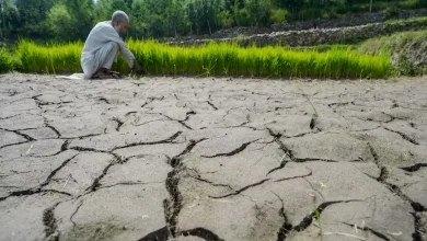 राष्ट्रवादी काँग्रेस पक्षाचे नाशिक येथील शिबीर पुढे ढकलल्याची घोषणा करतानाचे छायाचित्र.