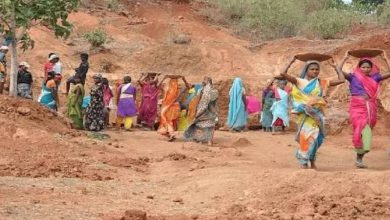 रोजगार हमी योजनेबाबत माहिती देताना रोजगार हमी योजना मंत्री भरत गोगावले.