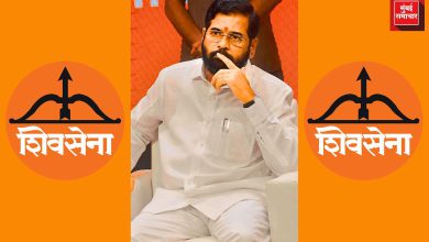 विदेशी शक्तींच्या मदतीने अराजक पसरवण्याचे आंतरराष्ट्रीय षडयंत्र उपमुख्यमंत्री एकनाथ शिंदे