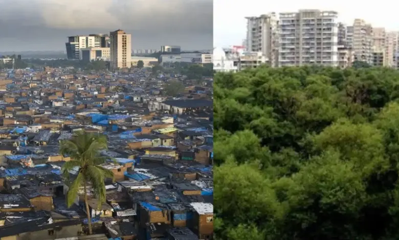 कुर्ल्यातील मदर डेअरीच्या जागेवर धारावी पुनर्विकासासाठी तोडली जाणारी झाडे आणि पर्यावरण.