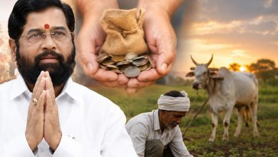शेतकऱ्यांच्या मदतीसाठी उत्सव साधेपणाने साजरे करण्याचे भावनिक आवाहन करताना उपमुख्यमंत्री एकनाथ शिंदे