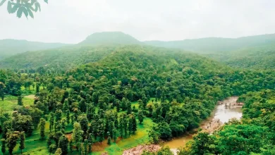 मुंबईकरांची भविष्यातील पाण्याची गरज भागवण्यासाठी गारगाई धरणाचे काम जानेवारी २०२७ पासून सुरू होणार आहे. २०२९ पर्यंत हे धरण पूर्ण होऊन मुंबईला ४४० दशलक्ष लिटर अतिरिक्त पाणी मिळणार आहे.