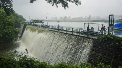 मुंबईला पाणीपुरवठा करणारा मोडक सागर तलाव आणि घटलेला पाणीसाठा