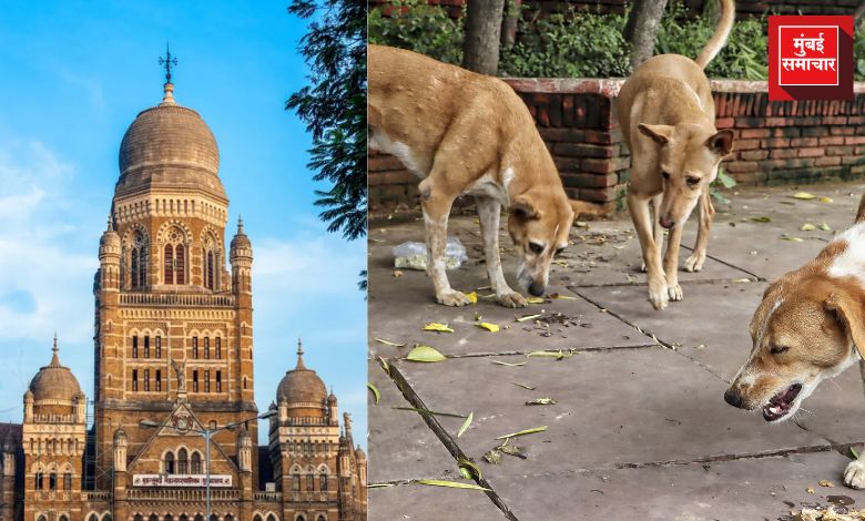 मुंबई महापालिकेने भटक्या श्वानांच्या निर्बीजीकरणानंतर त्यांना निवारा केंद्रात ठेवण्याचा घेतलेला महत्त्वपूर्ण निर्णय.