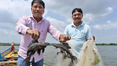 उजनी धरणावरील खासगी मासेमारी ठेक्याची ई-निविदा प्रक्रिया अखेर रद्द करण्यात आली आहे. कृषीमंत्री दत्तात्रय भरणे यांच्या पाठपुराव्यामुळे आणि मच्छीमारांच्या आंदोलनामुळे हा निर्णय घेण्यात आला.