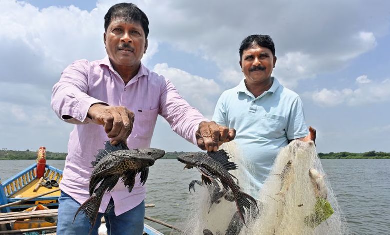 उजनी धरणावरील खासगी मासेमारी ठेक्याची ई-निविदा प्रक्रिया अखेर रद्द करण्यात आली आहे. कृषीमंत्री दत्तात्रय भरणे यांच्या पाठपुराव्यामुळे आणि मच्छीमारांच्या आंदोलनामुळे हा निर्णय घेण्यात आला.